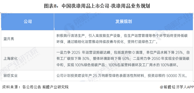 中国洗涤用品上市公司业务规划与投资前景分析