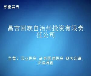 昌吉回族自治州投资有限责任公司投资咨询指南