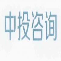 中国投资咨询有限责任公司